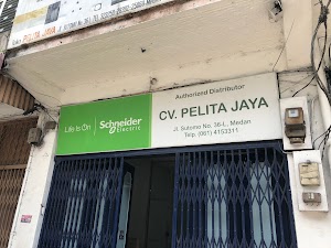 Pelita Jaya. CV