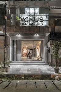 Venus Tile Gallery